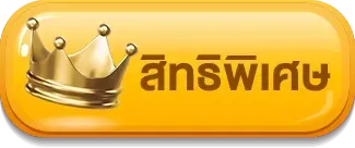 สิทธิพิเศษ slotking234